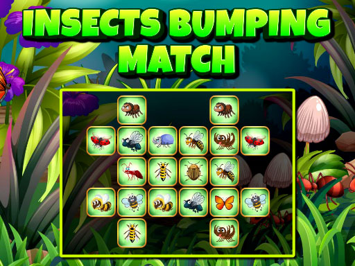 Read more about the article Insects Bumping Match