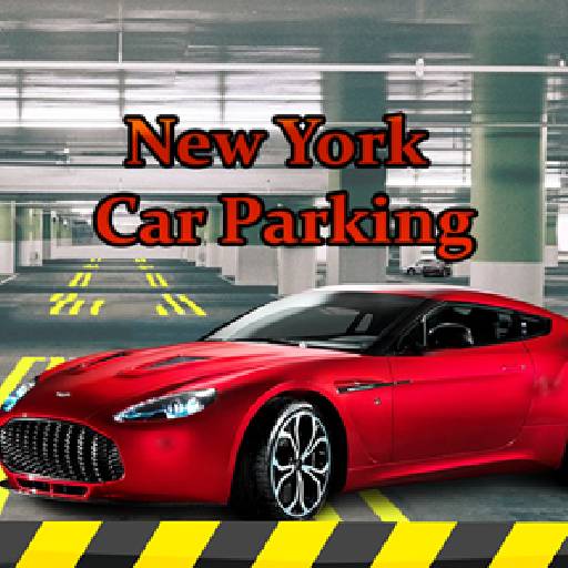 Read more about the article New York Car Parking