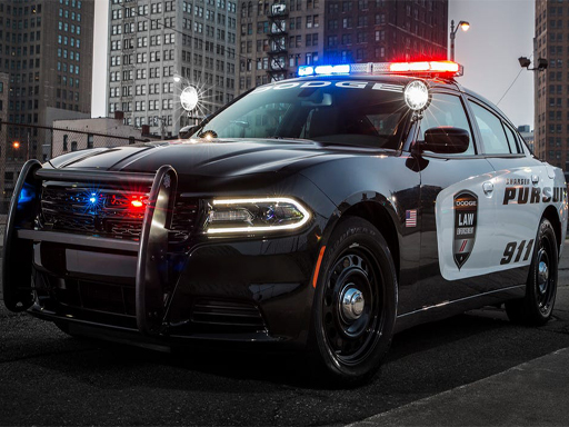 Read more about the article Police Cars Slide