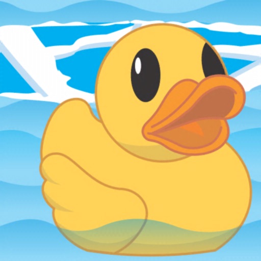 Read more about the article Help The Duck