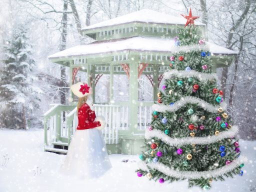 Read more about the article Christmas Picture Puzzle