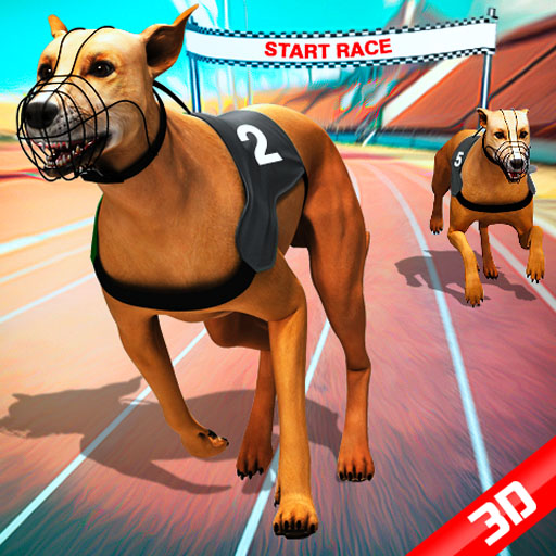 Read more about the article Crazy Dog Racing Fever