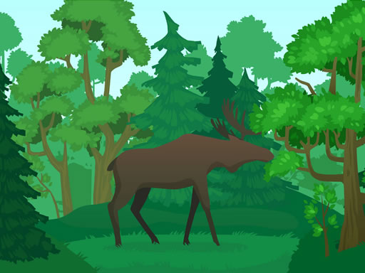 Read more about the article Wild Animals Coloring