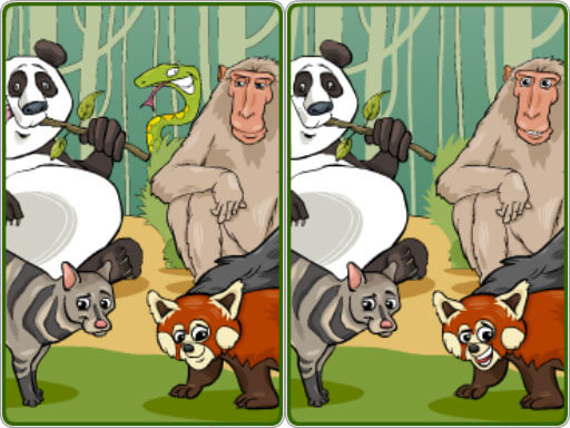 Read more about the article Wildlife Safari Five Diffs