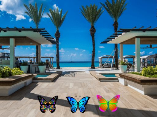 Read more about the article Find 100 Butterflies