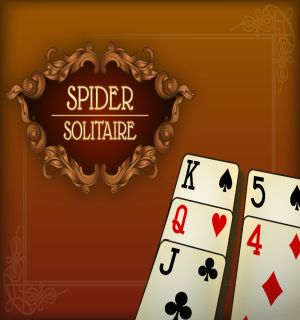 Read more about the article Spider solitaire