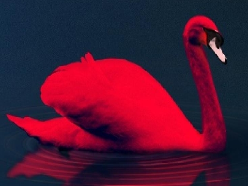 Read more about the article Love Birds Puzzle