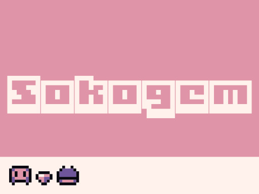 Read more about the article Sokogem
