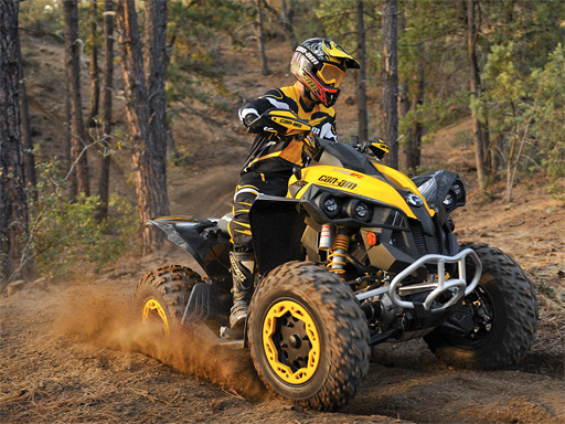 Read more about the article ATV Offroad Puzzle