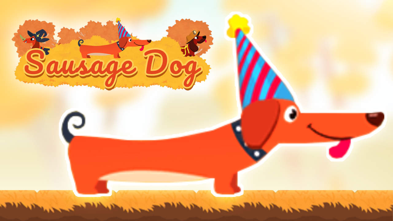 Read more about the article Sausage Dog