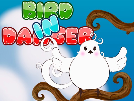 Read more about the article Bird in danger