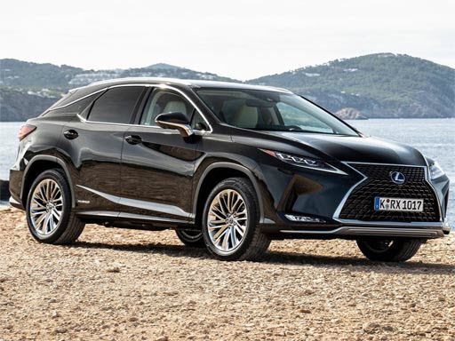 Read more about the article Lexus RX Puzzle