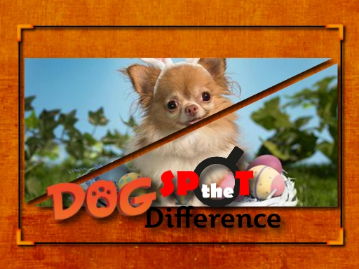 Read more about the article Dog Spot the Difference