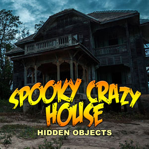 Read more about the article Spooky Crazy House