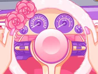 Read more about the article Princess Driver Quiz