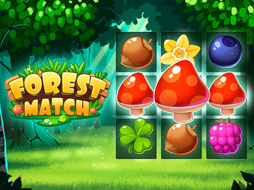Read more about the article Forest Match
