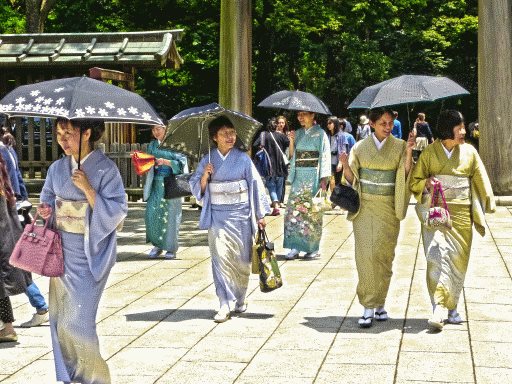 Read more about the article 100 Butterflies in Japan