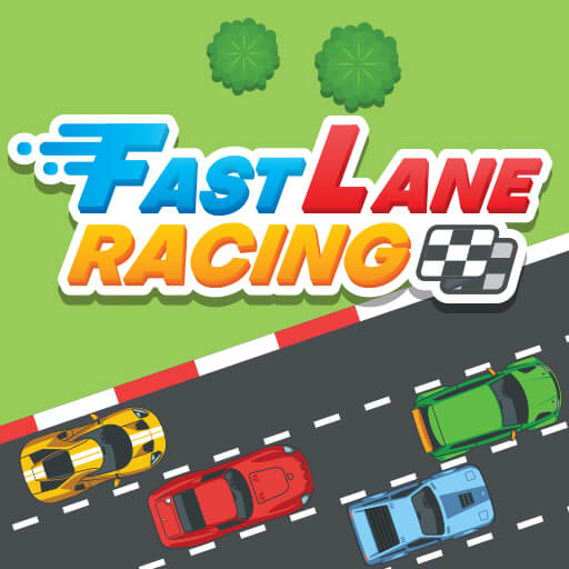 Read more about the article Fast Lane Racing