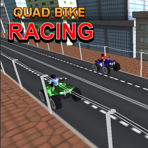 Read more about the article Quad Bike Racing