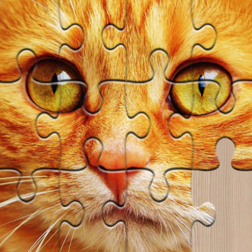 Read more about the article Unlimited Puzzles