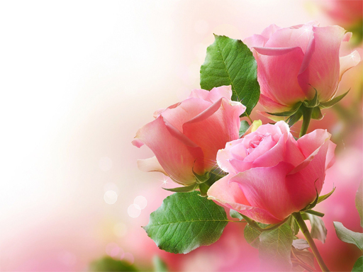 Read more about the article Pink Roses Puzzle