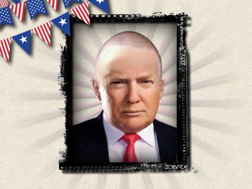 Read more about the article The President of the USA