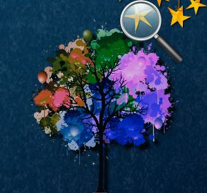 Read more about the article Forest Hidden Stars