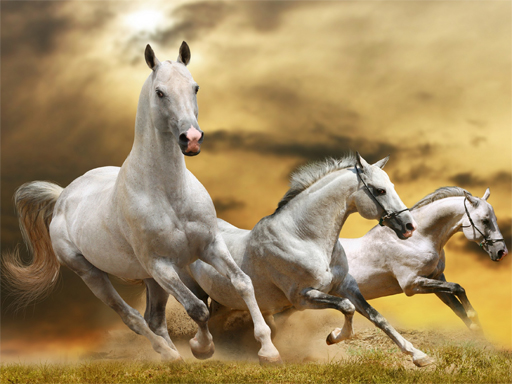 Read more about the article Running Horse Slide