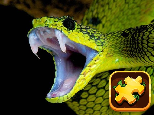 Read more about the article Snake Puzzle Challenge
