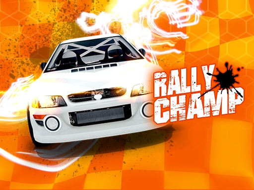 Read more about the article Rally Champ