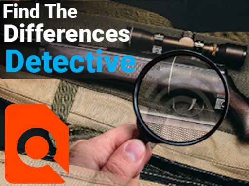 Read more about the article Find the Differences Detective