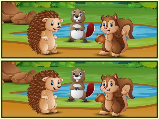 Read more about the article Spot The Differences Forests