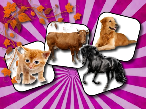 Read more about the article Domestic Animal Memory Challenge