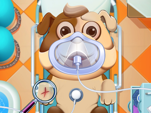 Read more about the article Animal Daycare