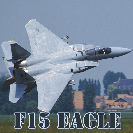 Read more about the article F15 Eagle Slide