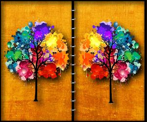 Read more about the article Forest Spot the Difference
