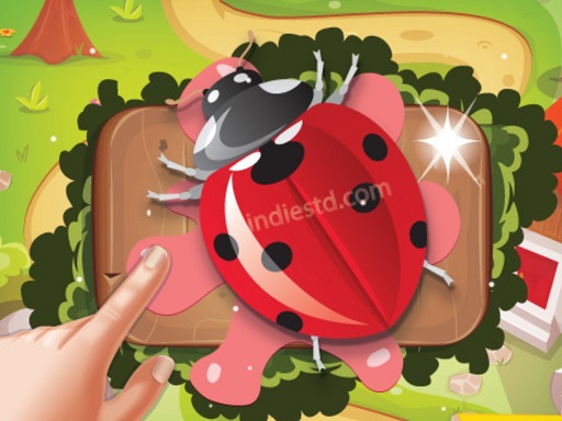 Read more about the article Bugs Bang