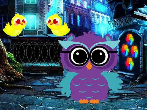 Read more about the article Ruler Owl Escape Game