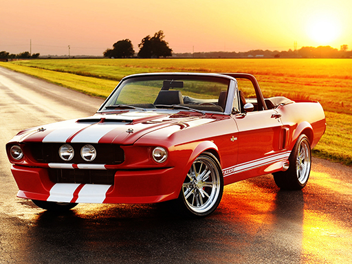 Read more about the article Fancy Mustang Differences