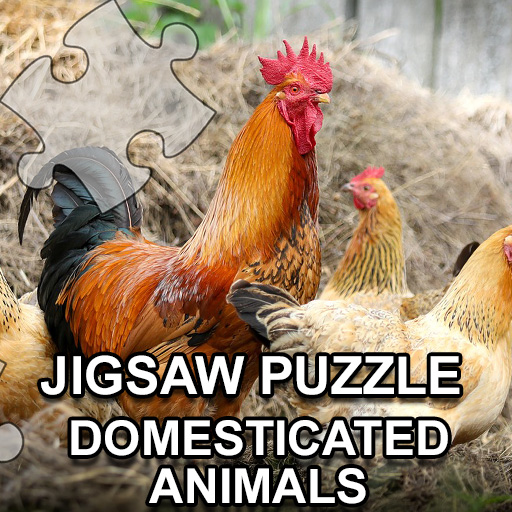 Read more about the article Jigsaw Puzzle Domesticated Animals