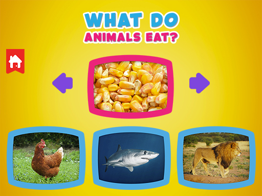 Read more about the article What do animals eat