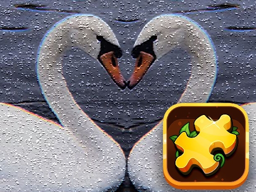Read more about the article Swan Puzzle Challenge
