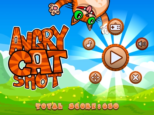 Read more about the article Angry Cat Shot