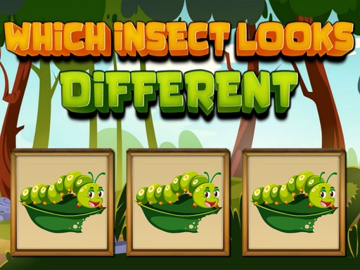 Read more about the article Which Insect Looks Different