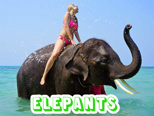 Read more about the article Elephants Puzzle
