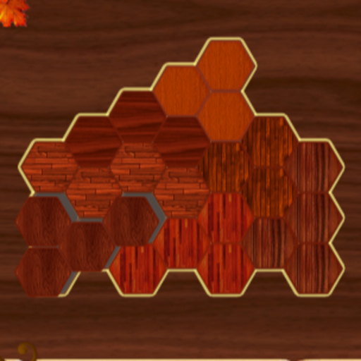 Read more about the article Woody Block Hexa Puzzle Game