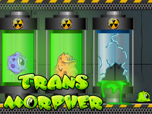 Read more about the article Transmorpher 1