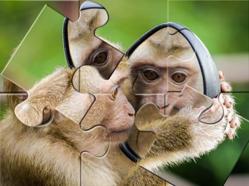 Read more about the article Chimpanzee Jigsaw