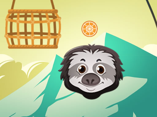 Read more about the article Zoo Slings