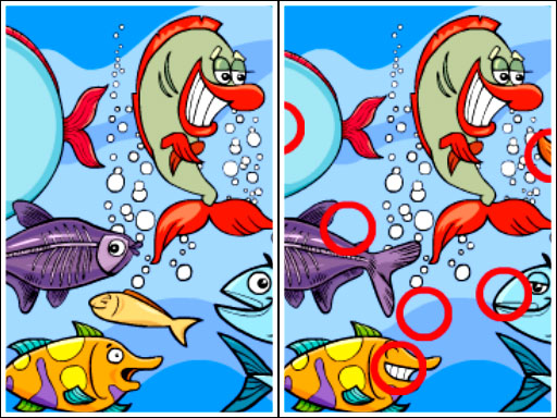 Read more about the article Fish Differences